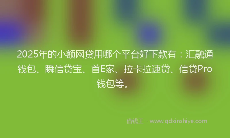 2025年的小额网贷用哪个平台好下款有：汇融通钱包、瞬信贷宝、首E家、拉卡拉速贷、信贷Pro钱包等。