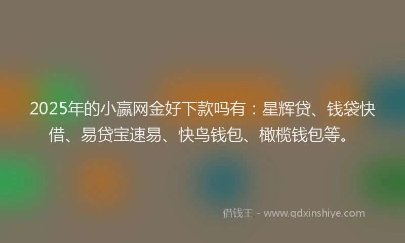 2025年的小赢网金好下款吗有：星辉贷、钱袋快借、易贷宝速易、快鸟钱包、橄榄钱包等。