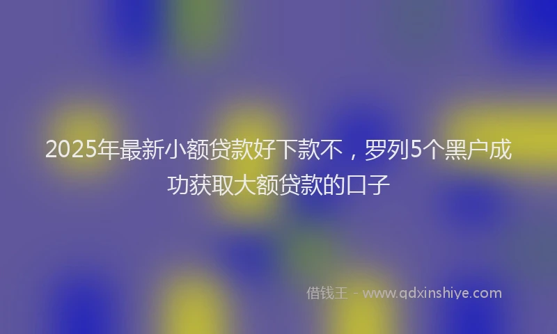 2025年最新小额贷款好下款不，罗列5个黑户成功获取大额贷款的口子