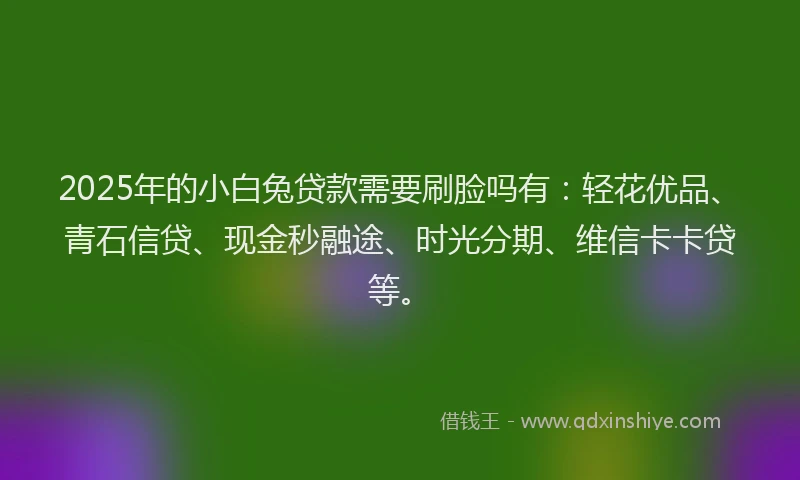 2025年的小白兔贷款需要刷脸吗有：轻花优品、青石信贷、现金秒融途、时光分期、维信卡卡贷等。