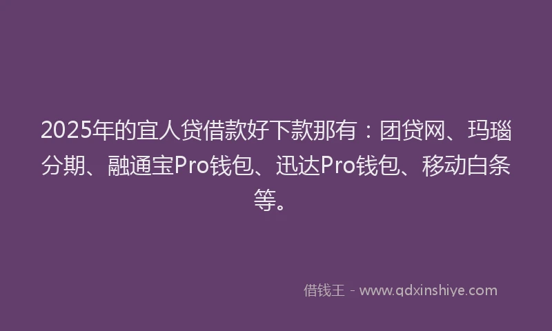 2025年的宜人贷借款好下款那有：团贷网、玛瑙分期、融通宝Pro钱包、迅达Pro钱包、移动白条等。