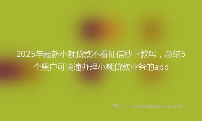 2025年最新小额贷款不看征信秒下款吗，总结5个黑户可快速办理小额贷款业务的app