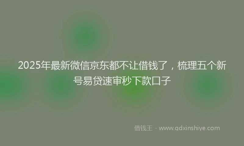 2025年最新微信京东都不让借钱了，梳理五个新号易贷速审秒下款口子