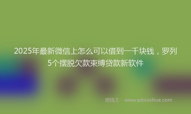 2025年最新微信上怎么可以借到一千块钱，罗列5个摆脱欠款束缚贷款新软件