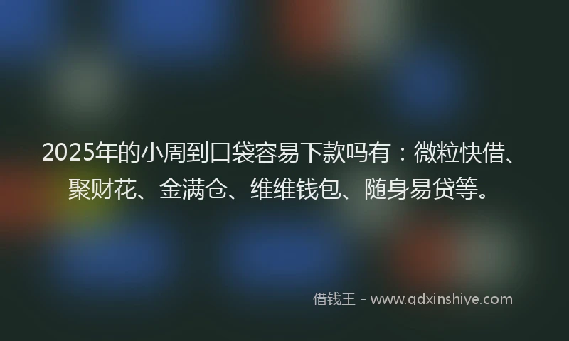 2025年的小周到口袋容易下款吗有：微粒快借、聚财花、金满仓、维维钱包、随身易贷等。