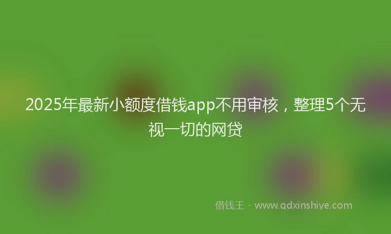 2025年最新小额度借钱app不用审核，整理5个无视一切的网贷