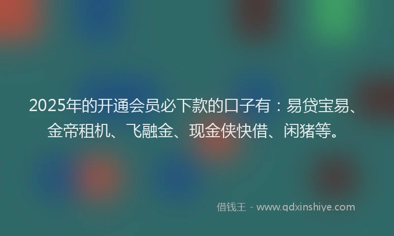 2025年的开通会员必下款的口子有：易贷宝易、金帝租机、飞融金、现金侠快借、闲猪等。