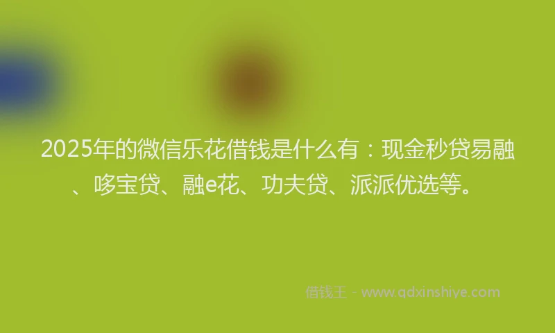 2025年的微信乐花借钱是什么有：现金秒贷易融、哆宝贷、融e花、功夫贷、派派优选等。