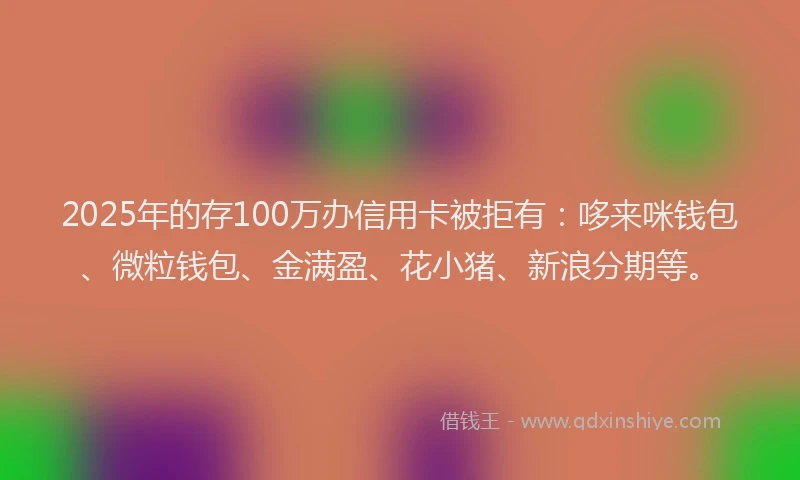 2025年的存100万办信用卡被拒有：哆来咪钱包、微粒钱包、金满盈、花小猪、新浪分期等。