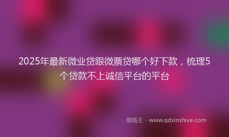 2025年最新微业贷跟微票贷哪个好下款，梳理5个贷款不上诚信平台的平台