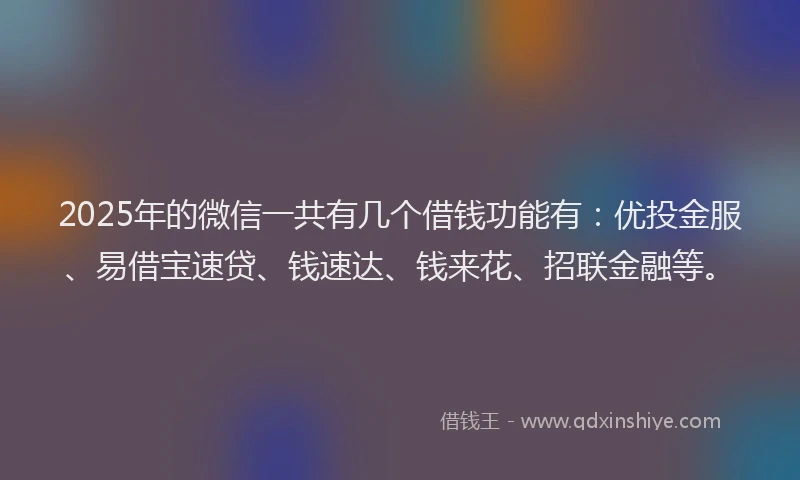 2025年的微信一共有几个借钱功能有：优投金服、易借宝速贷、钱速达、钱来花、招联金融等。