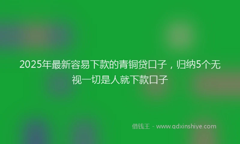 2025年最新容易下款的青铜贷口子，归纳5个无视一切是人就下款口子