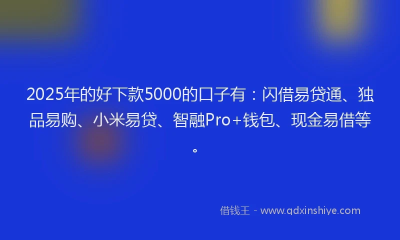 2025年的好下款5000的口子有：闪借易贷通、独品易购、小米易贷、智融Pro+钱包、现金易借等。