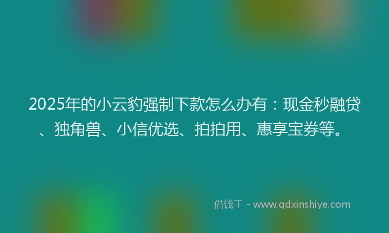 2025年的小云豹强制下款怎么办有：现金秒融贷、独角兽、小信优选、拍拍用、惠享宝券等。