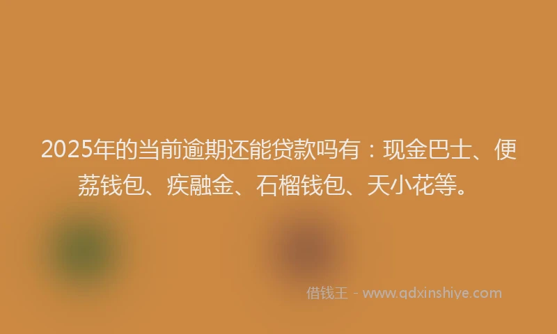2025年的当前逾期还能贷款吗有：现金巴士、便荔钱包、疾融金、石榴钱包、天小花等。