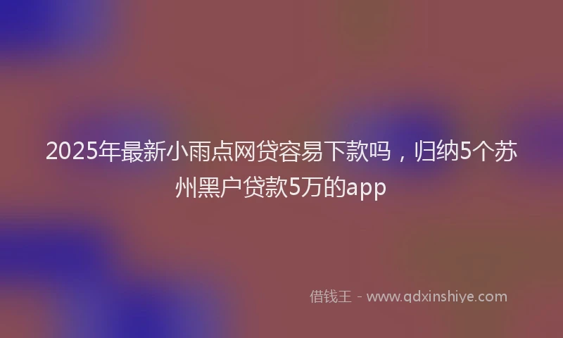 2025年最新小雨点网贷容易下款吗，归纳5个苏州黑户贷款5万的app