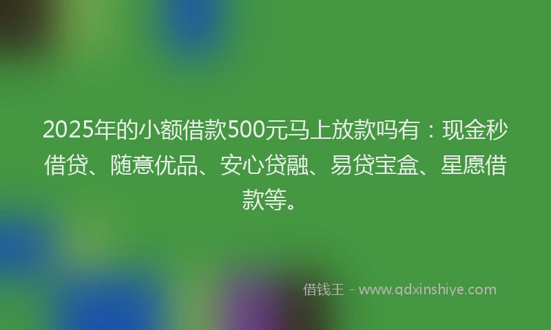 2025年的小额借款500元马上放款吗有：现金秒借贷、随意优品、安心贷融、易贷宝盒、星愿借款等。