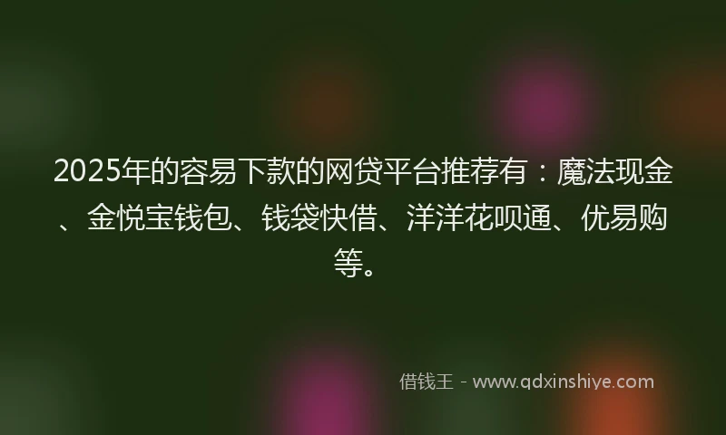 2025年的容易下款的网贷平台推荐有：魔法现金、金悦宝钱包、钱袋快借、洋洋花呗通、优易购等。