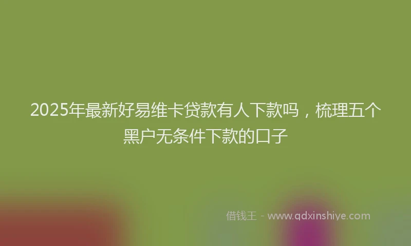 2025年最新好易维卡贷款有人下款吗，梳理五个黑户无条件下款的口子