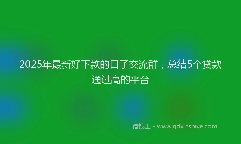 2025年最新好下款的口子交流群，总结5个贷款通过高的平台