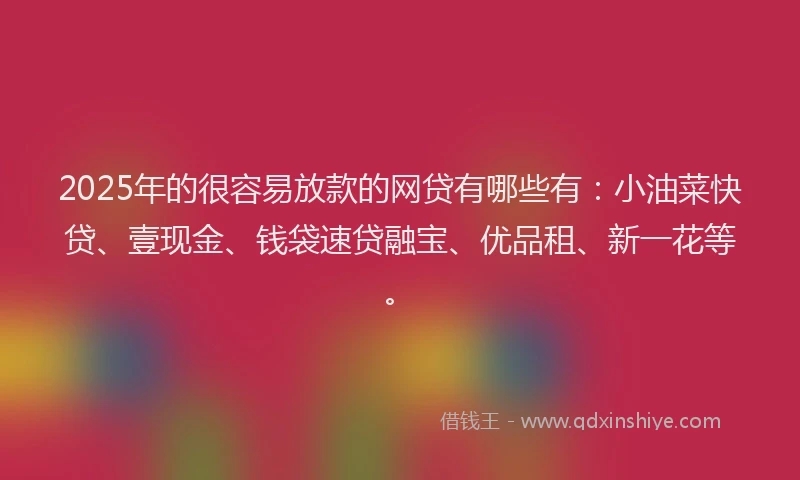 2025年的很容易放款的网贷有哪些有：小油菜快贷、壹现金、钱袋速贷融宝、优品租、新一花等。