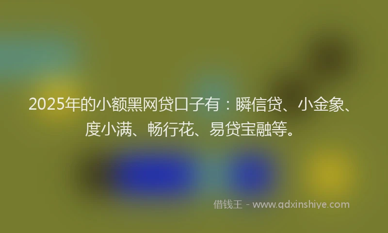 2025年的小额黑网贷口子有：瞬信贷、小金象、度小满、畅行花、易贷宝融等。