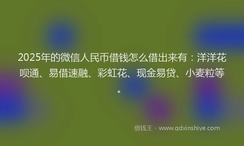 2025年的微信人民币借钱怎么借出来有：洋洋花呗通、易借速融、彩虹花、现金易贷、小麦粒等。