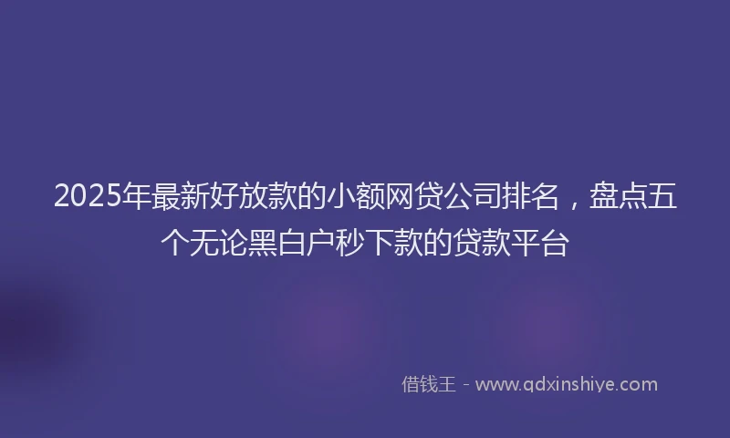 2025年最新好放款的小额网贷公司排名，盘点五个无论黑白户秒下款的贷款平台