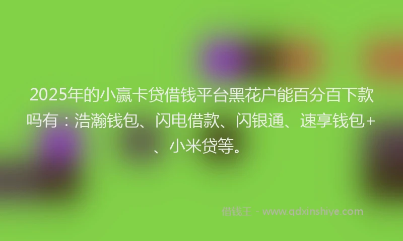 2025年的小赢卡贷借钱平台黑花户能百分百下款吗有：浩瀚钱包、闪电借款、闪银通、速享钱包+、小米贷等。
