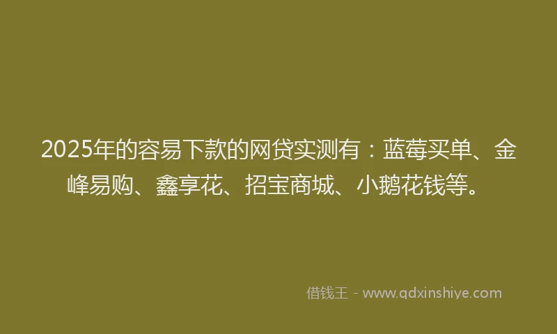 2025年的容易下款的网贷实测有：蓝莓买单、金峰易购、鑫享花、招宝商城、小鹅花钱等。