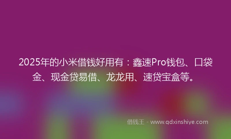 2025年的小米借钱好用有：鑫速Pro钱包、口袋金、现金贷易借、龙龙用、速贷宝盒等。