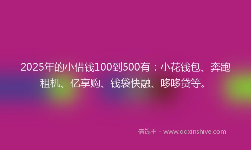 2025年的小借钱100到500有：小花钱包、奔跑租机、亿享购、钱袋快融、哆哆贷等。