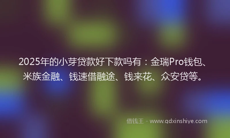 2025年的小芽贷款好下款吗有：金瑞Pro钱包、米族金融、钱速借融途、钱来花、众安贷等。