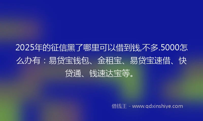 2025年的征信黑了哪里可以借到钱,不多.5000怎么办有：易贷宝钱包、金租宝、易贷宝速借、快贷通、钱速达宝等。