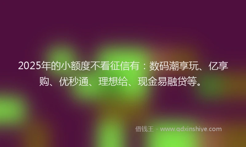 2025年的小额度不看征信有：数码潮享玩、亿享购、优秒通、理想给、现金易融贷等。