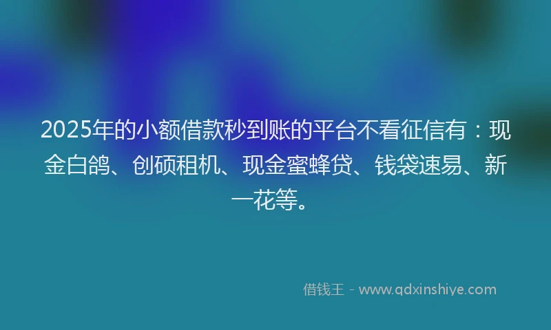 2025年的小额借款秒到账的平台不看征信有：现金白鸽、创硕租机、现金蜜蜂贷、钱袋速易、新一花等。