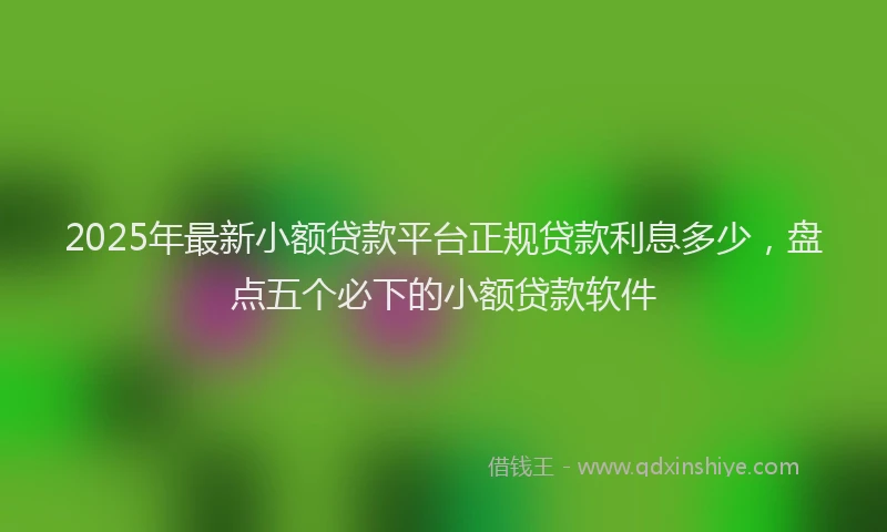 2025年最新小额贷款平台正规贷款利息多少，盘点五个必下的小额贷款软件