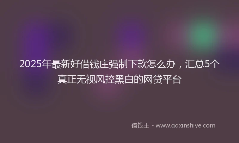 2025年最新好借钱庄强制下款怎么办，汇总5个真正无视风控黑白的网贷平台