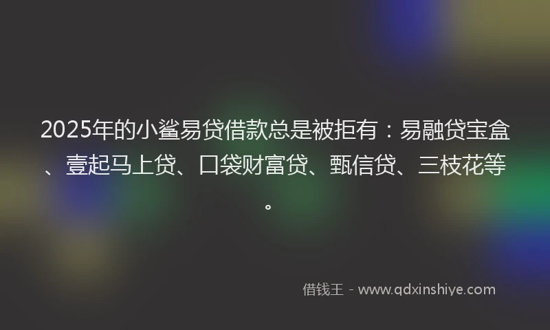 2025年的小鲨易贷借款总是被拒有：易融贷宝盒、壹起马上贷、口袋财富贷、甄信贷、三枝花等。