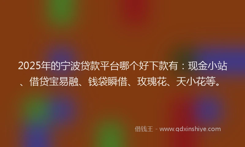 2025年的宁波贷款平台哪个好下款有：现金小站、借贷宝易融、钱袋瞬借、玫瑰花、天小花等。
