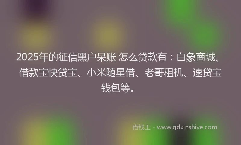 2025年的征信黑户呆账 怎么贷款有：白象商城、借款宝快贷宝、小米随星借、老哥租机、速贷宝钱包等。
