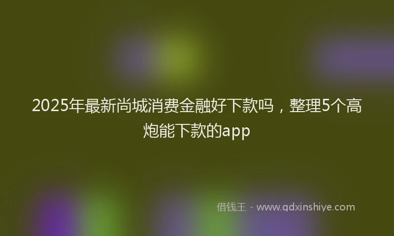 2025年最新尚城消费金融好下款吗，整理5个高炮能下款的app