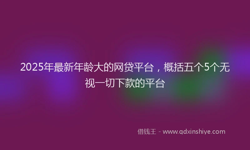 2025年最新年龄大的网贷平台，概括五个5个无视一切下款的平台