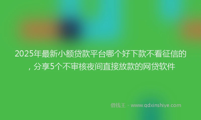 2025年最新小额贷款平台哪个好下款不看征信的，分享5个不审核夜间直接放款的网贷软件
