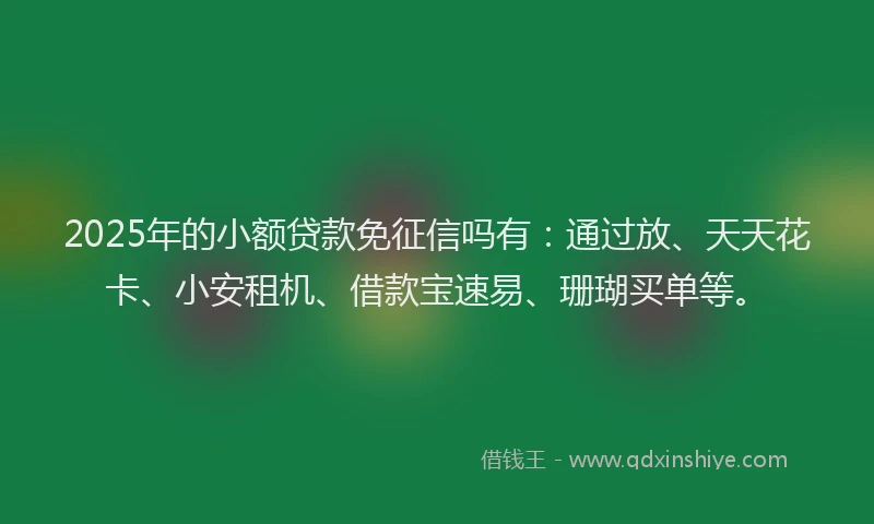 2025年的小额贷款免征信吗有：通过放、天天花卡、小安租机、借款宝速易、珊瑚买单等。