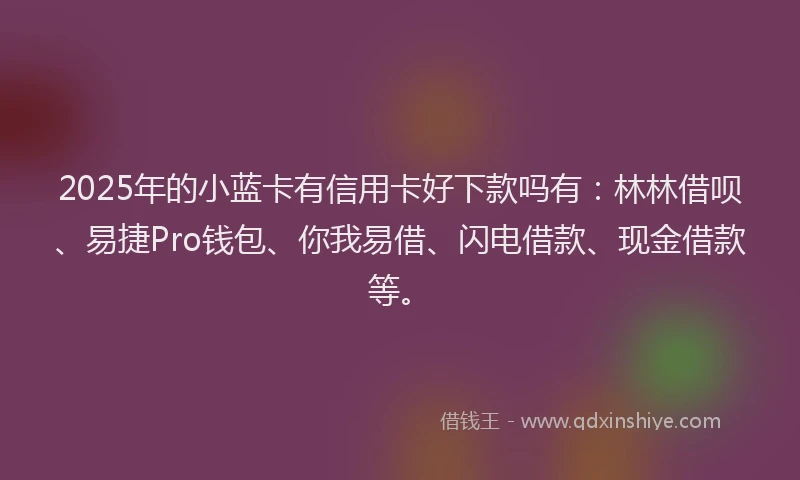 2025年的小蓝卡有信用卡好下款吗有:林林借呗、易捷Pro钱包、你我易借、闪电借款、现金借款等。