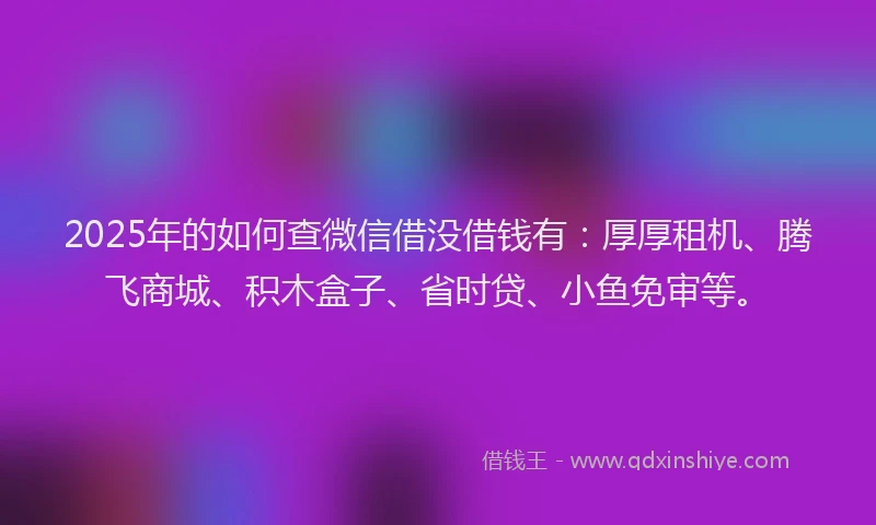 2025年的如何查微信借没借钱有：厚厚租机、腾飞商城、积木盒子、省时贷、小鱼免审等。