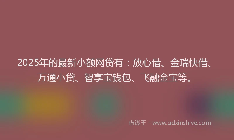 2025年的最新小额网贷有：放心借、金瑞快借、万通小贷、智享宝钱包、飞融金宝等。