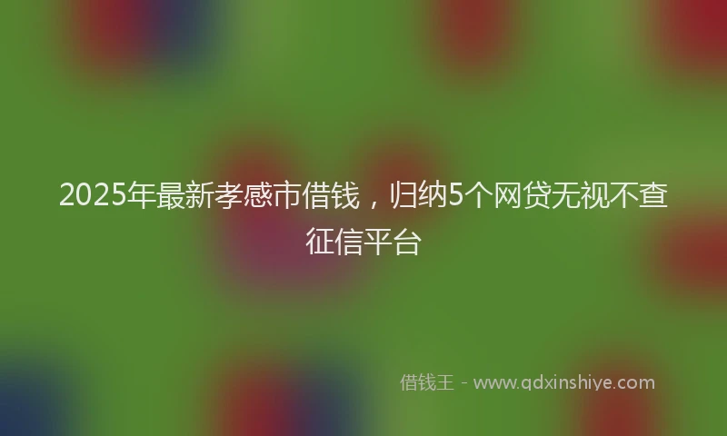 2025年最新孝感市借钱，归纳5个网贷无视不查征信平台