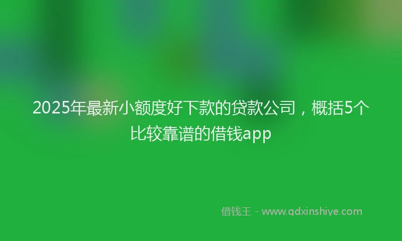 2025年最新小额度好下款的贷款公司，概括5个比较靠谱的借钱app